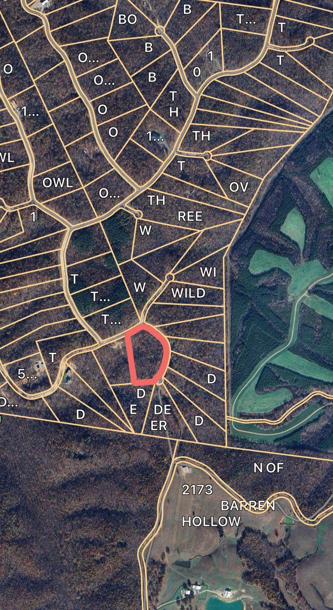 65 Deer Grass Ln, Home with 0 bedrooms, 0 bathrooms and null parking in Hurricane Mills TN | Image 5