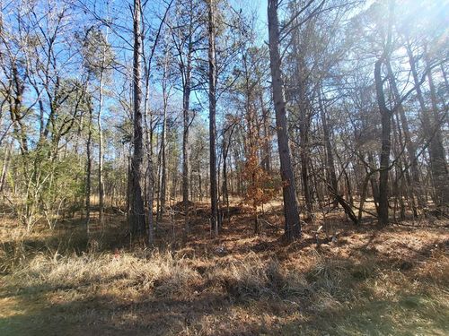 Lot 55 Island Creek Dr W, Sparta, GA, 31087-6229 | Card Image