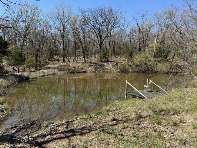 Fishing Dock | Image 5