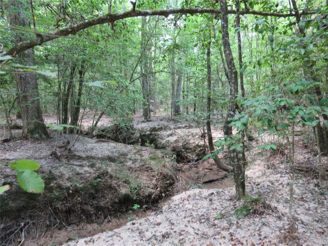 00 Highway 371, Home with 0 bedrooms, 0 bathrooms and null parking in Rosston AR | Image 11