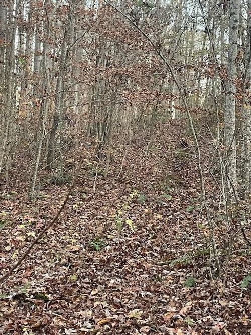 468 Horns Creek Rd, Old Fort, TN, 37362-7642 | Card Image