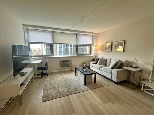 15e-253 E Delaware Pl, Chicago, IL, 60611-5744 | Card Image