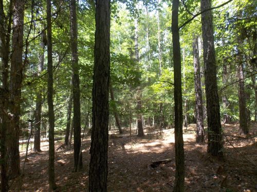 1054 Pine Point Ln, Tignall, GA, 30668-2641 | Card Image