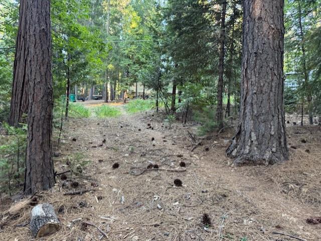 Land in Pollock Pines 2