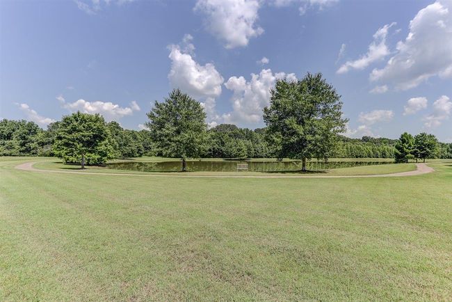 12317 Cascabel Ln, House other with 4 bedrooms, 4 bathrooms and null parking in Collierville TN | Image 37