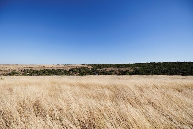 0000 Camp Springs Rd, Home with 0 bedrooms, 0 bathrooms and null parking in Snyder TX | Image 9