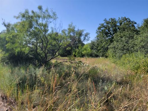 TBD Bally Castle Dr, Brownwood, TX, 76801 | Card Image