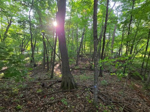 TBD Deer Trl, Garrison, MN, 56450 | Card Image