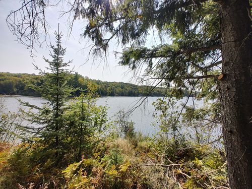 lot-2-ON Stateline Lake Rd E, Presque Isle, MI, 49947 | Card Image