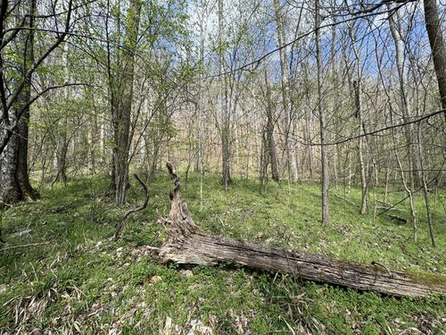 0 Shoreside Dr, Smithville, TN, 37166 | Card Image