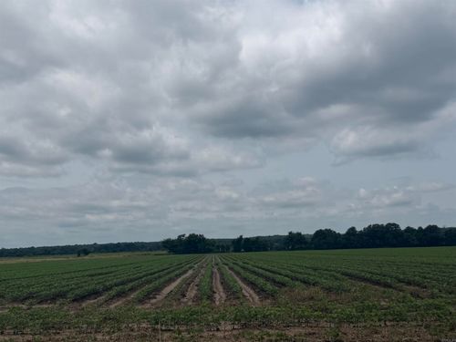 77.7 Acres Pineview Rd/Benson Ln, Trumann, AR, 72472 | Card Image