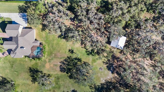 11518 Hammock Oaks Ct, House other with 4 bedrooms, 6 bathrooms and null parking in LITHIA FL | Image 52