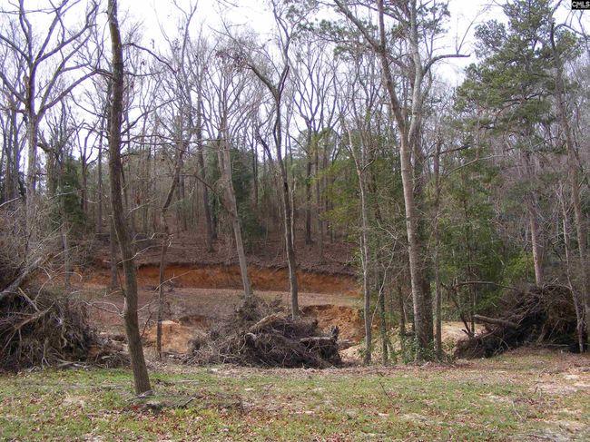 0 Great Circle Drive, Home with 0 bedrooms, 0 bathrooms and null parking in St. Matthews SC | Image 11