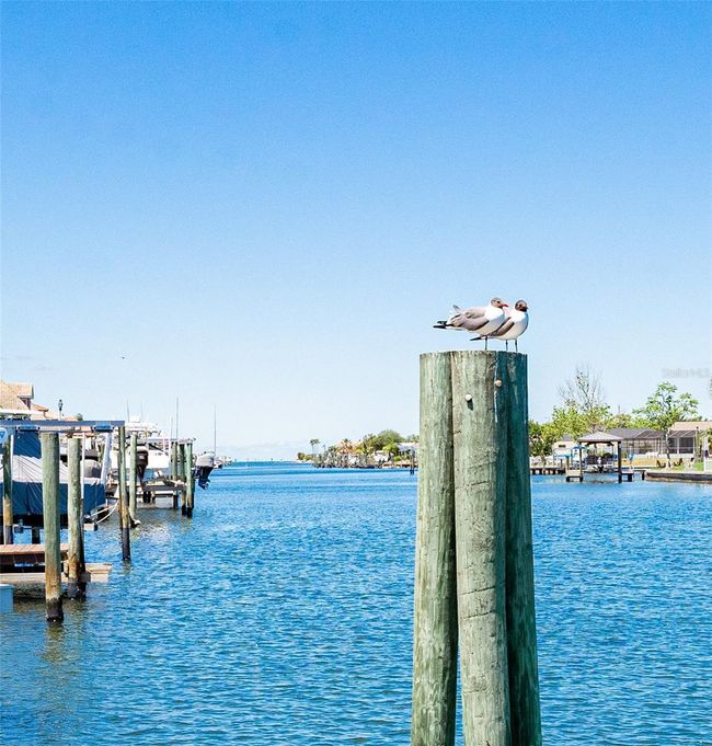 835 Symphony Isles Blvd, House other with 3 bedrooms, 3 bathrooms and null parking in APOLLO BEACH FL | Image 54