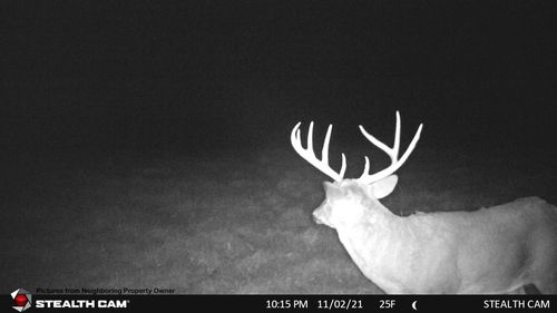 000 Elk Creek Rd, VIOLA, WI, 54664 | Card Image