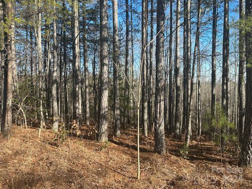 0000 Pine Cone Trl, Rutherfordton, NC, 28139 | Card Image