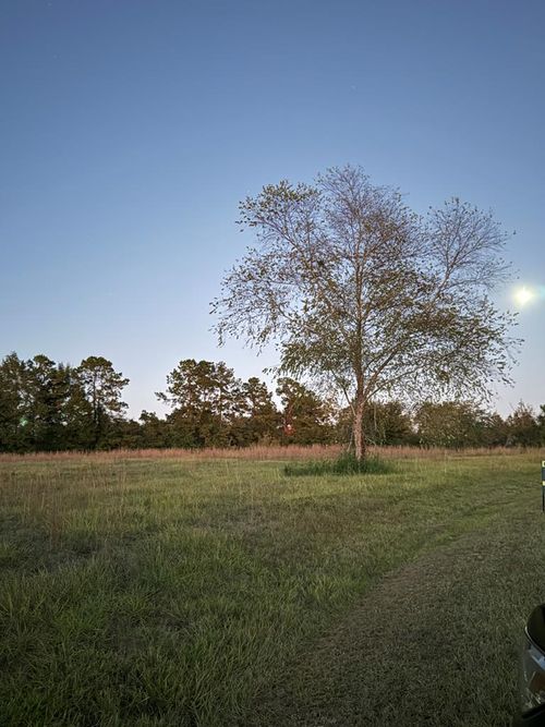 0 Pinehurst Dr, Carriere, MS, 39426 | Card Image