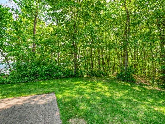 Backyard | Image 56