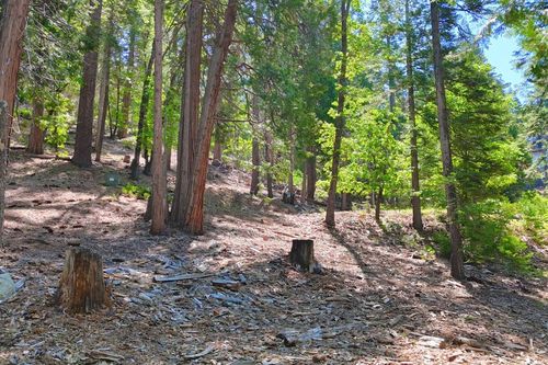 7220 Yosemite Park Way, Yosemite National Park, CA, 95389-9106 | Card Image