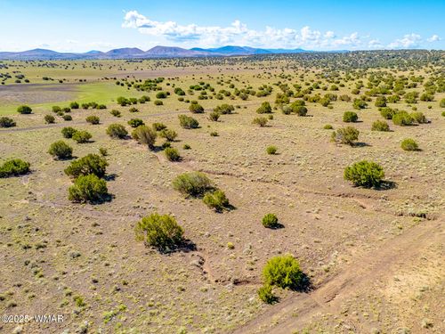 TBD Co Rd 5106 Lot #1 1.1 Acres, Concho, AZ, 85924 | Card Image