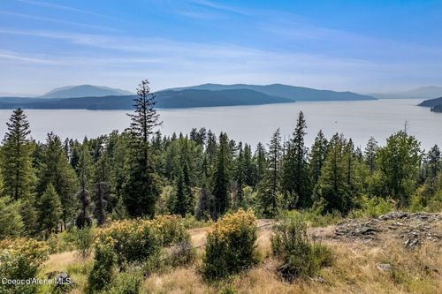 NNA Angel Creek Rd, Hope, ID, 83836 | Card Image