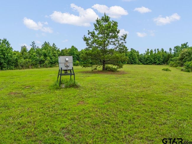 3536 &amp; TBD Cr 1579, Home with 4 bedrooms, 3 bathrooms and null parking in Avinger TX | Image 18