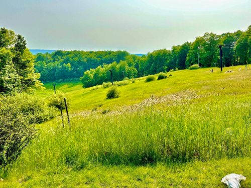 5828 Shanty Creek Rd, Bellaire, MI, 49615-9386 | Card Image