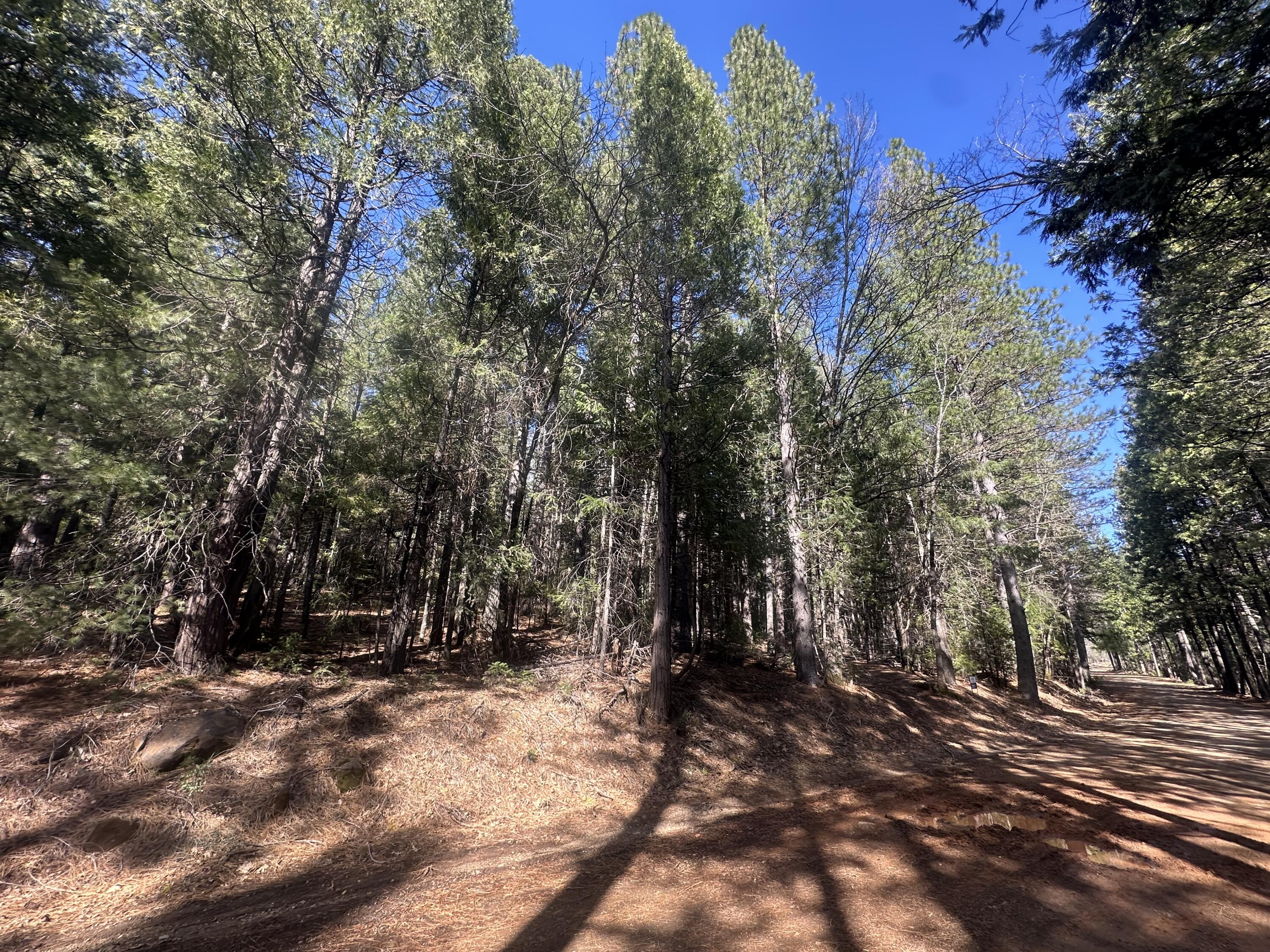 Land in Oak Run 3