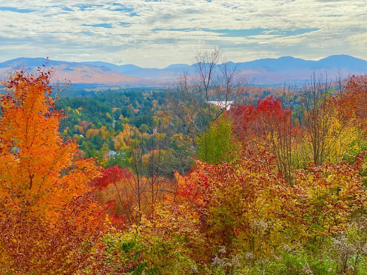 Residential Lease in Saranac Lake 5