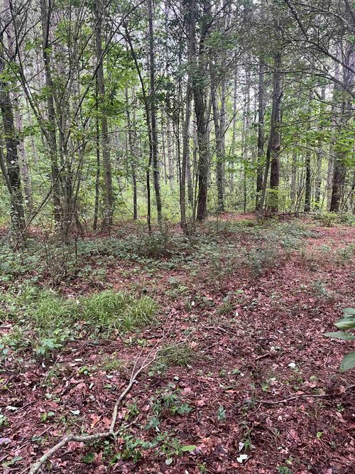 179 County Road 939, Cullman, AL, 35057-6023 | Card Image