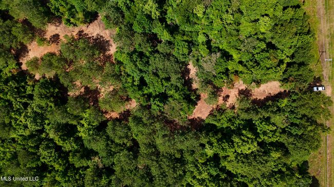 DJI_20250605160535_0677_D.00_01_09_18.St | Image 18