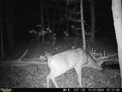 Lot 1 Highway 13, PRESTON, WI, 53934 | Card Image