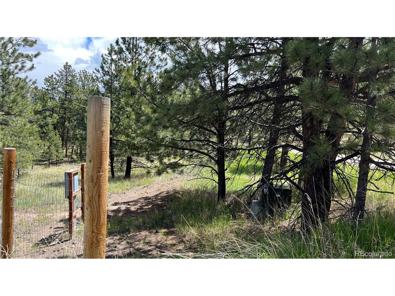 Land in Westcliffe 3