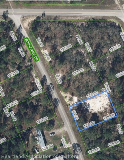 125 Sunflower Dr, Lake Placid, FL, 33852-3919 | Card Image