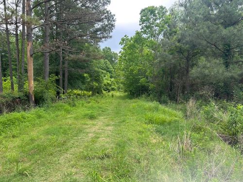 1029 County Road 482, Fountain Hill, AR, 71642 | Card Image