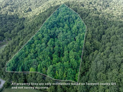 TBD Dry Fork Rd, North Tazewell, VA, 24630 | Card Image