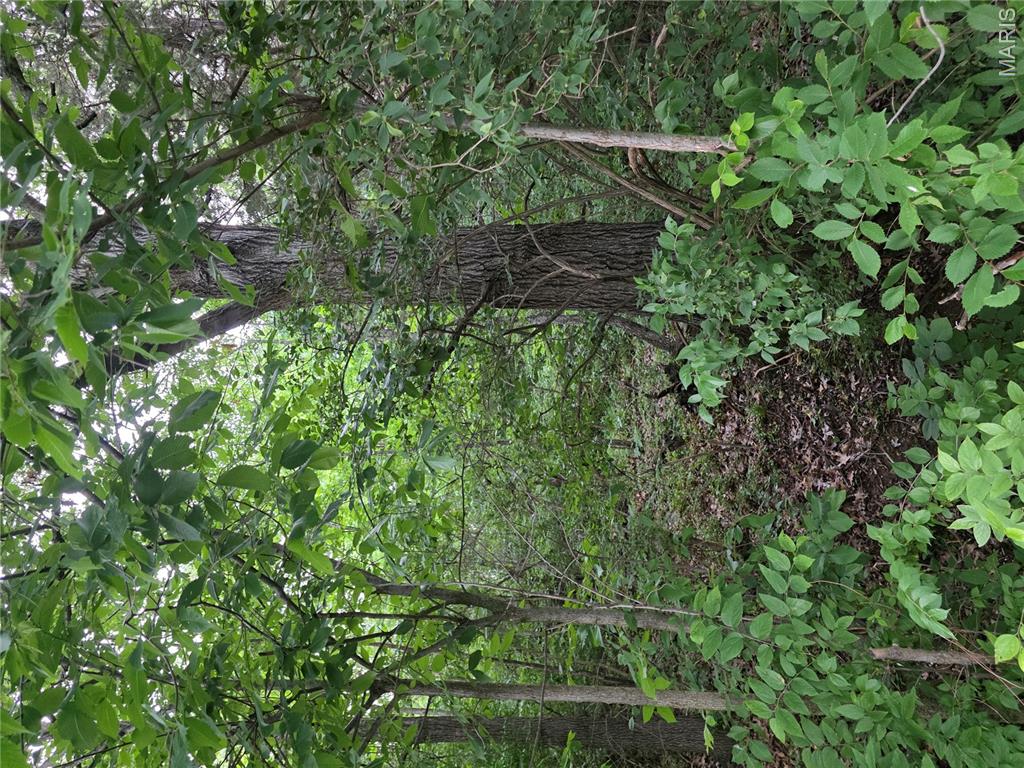 Land in De Soto 4