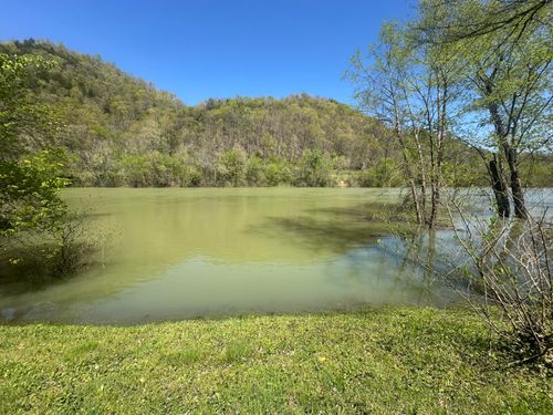 1519 Misty River Run Rd, Burkesville, KY, 42717-8224 | Card Image