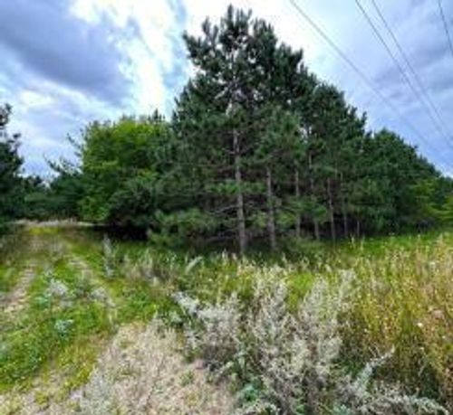 TBD County Highway 54, New York Mills, MN, 56567 | Card Image