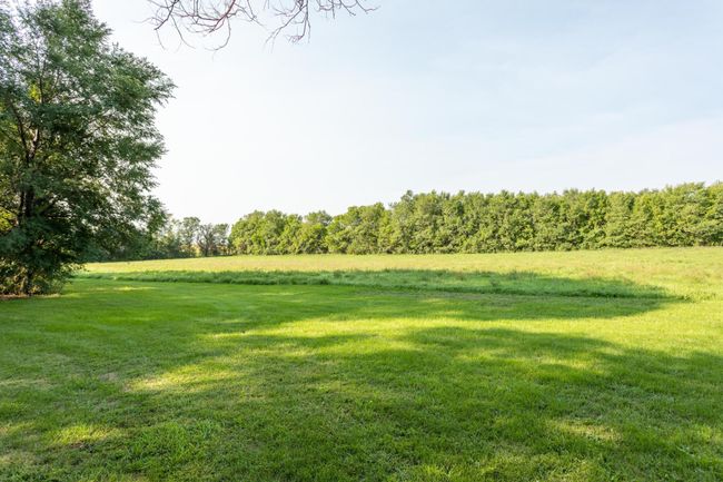 Land | Image 8