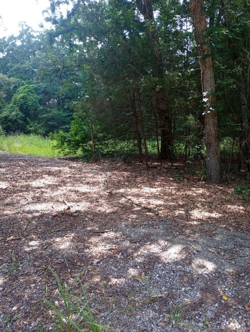 TBD Dogwood Dr, Murchison, TX, 75778 | Card Image