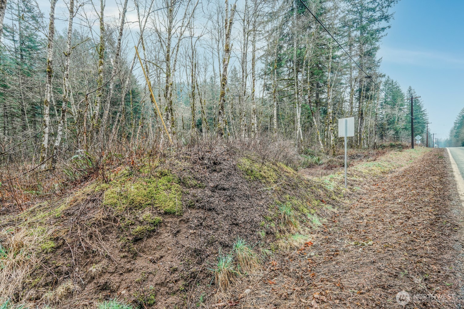 Land in Washougal 4