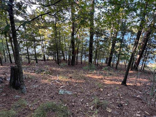 Lot 22 Island Shores Drive, Drasco, AR, 72530 | Card Image