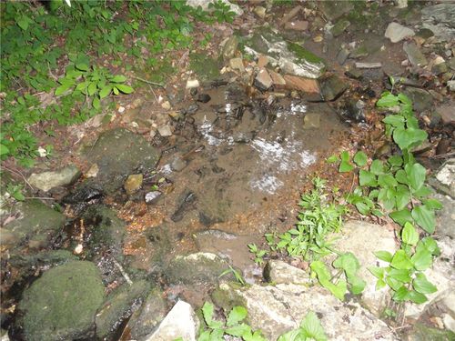 168 Reflections Dr, Marshall, AR, 72650-8527 | Card Image