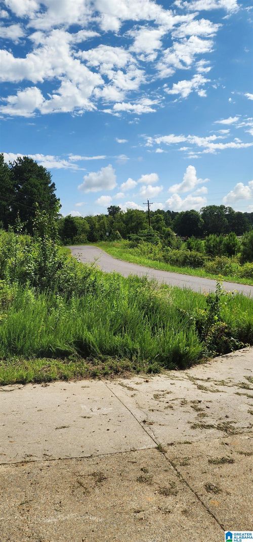 0-0 Hicks Road, Oneonta, AL, 35121 | Card Image