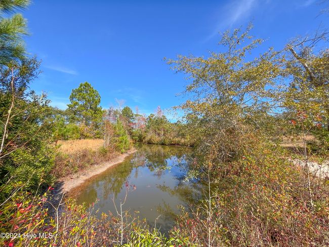 4780 S Us 117 Hwy, Home with 0 bedrooms, 0 bathrooms and null parking in Teachey NC | Image 21