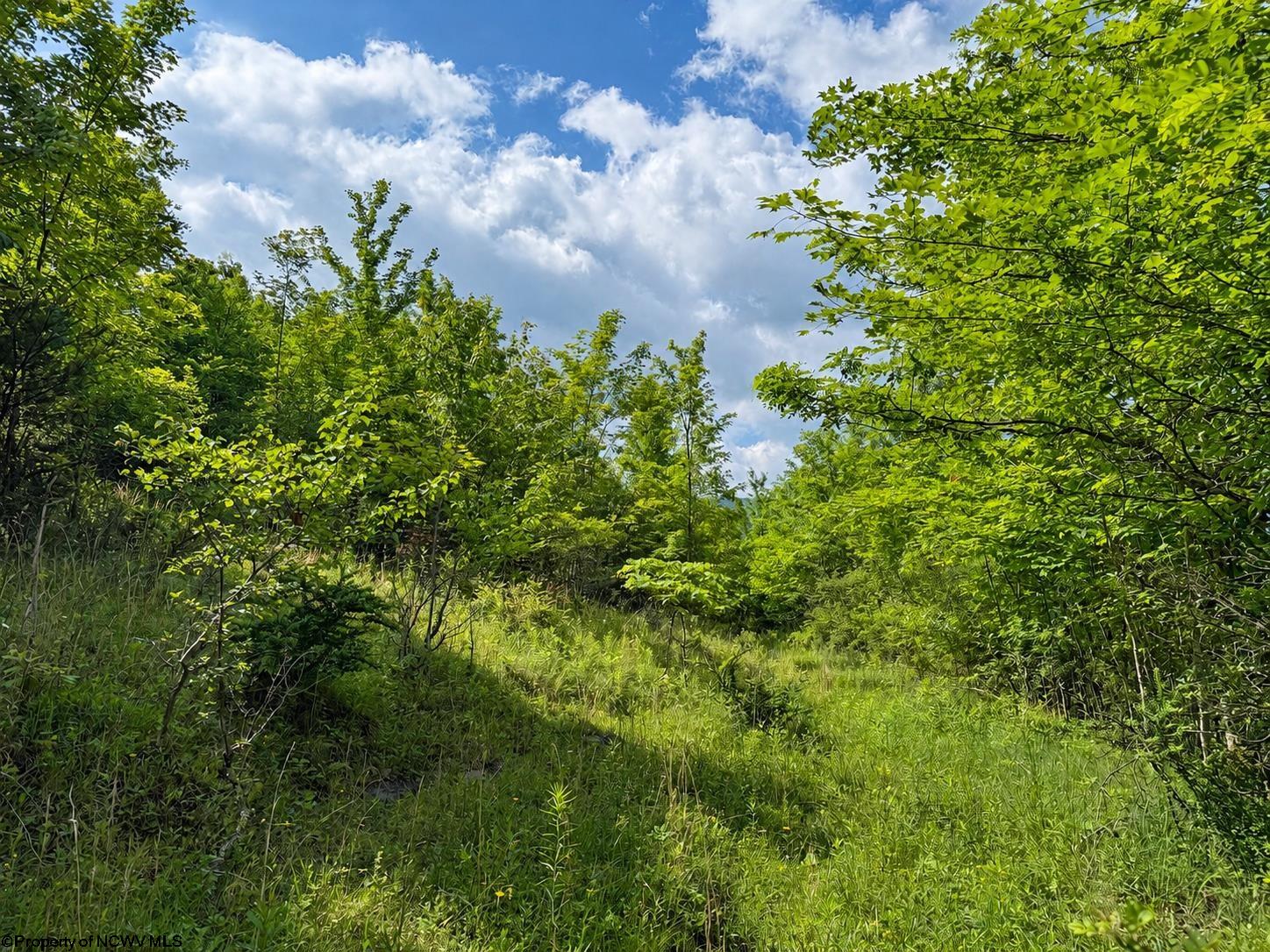Land in Dryfork 5