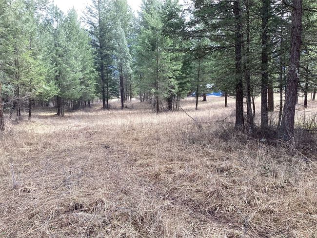 1 Eagle Pass Road, Home with 0 bedrooms, 0 bathrooms and null parking in Charlo MT | Image 32