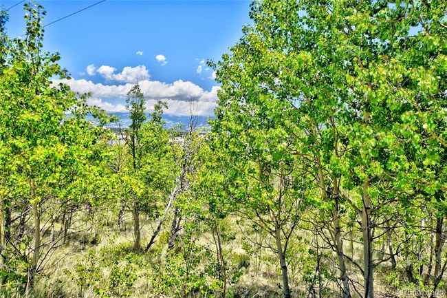 0 Wells Fargo Circle, Home with 0 bedrooms, 0 bathrooms and null parking in JEFFERSON CO | Image 10