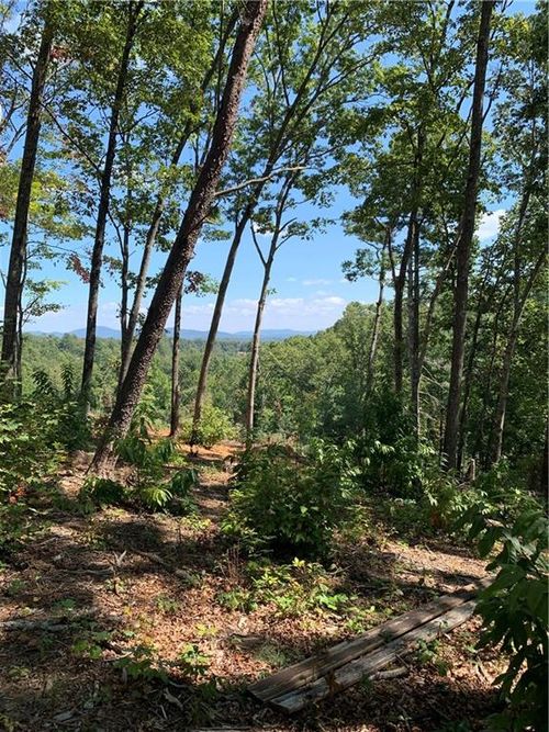 0 White Oak Cir, Blue Ridge, GA, 30513 | Card Image